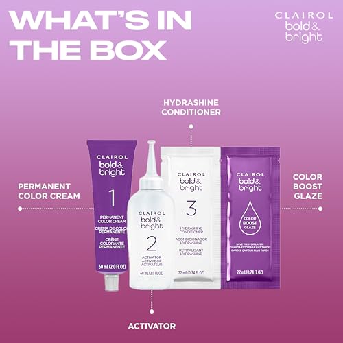 Clairol Bold & Bright Permanent Hair Dye, V3 Intense Passion Plum Hair Color, Pack of 1