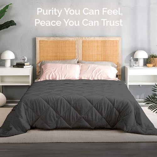 Bamtek Charcoal Queen Size Bamboo Viscose Comforter - Down Alternative Duvet Insert