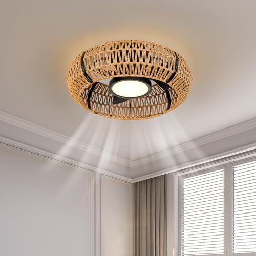 20-Inch Black Caged Ceiling Fan with Light and Remote Control - Boho Rattan
