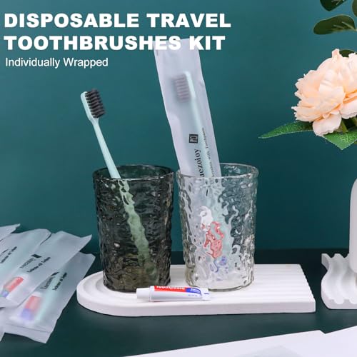 Disposable Toothbrushes with Toothpaste, 60 Pack Green – Xuezoioy