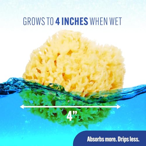 Baby Buddy Ultra-Soft Sea Wool Bath Sponge 3-Pack for Baby & Infant, Hypoallergenic & Biodegradable, 4in