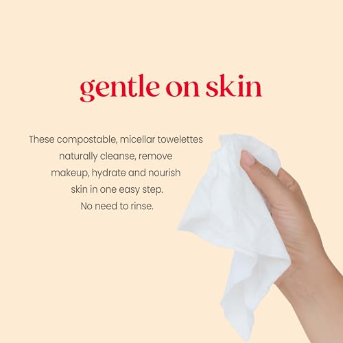 Burt's Bees Facial Towelettes, Micellar with Rose Water, All Skin Types, 30 ct Pack of 2 | Pre-Moistened | 99.5% Natural Origin