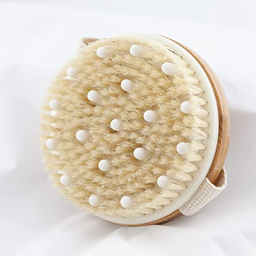 Dry Brushing Body Brush Set for Skin Exfoliation & Toxin Removal - Long Handle Back & Face Brush Bundle