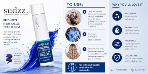 BlondeAmbition Brightening Sulfate-Free Hair Shampoo - Travel Size 10.1 Fl Oz - Safe for Color & Gray Hair - For Men & Women