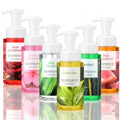 Spring Foaming Hand Soap with Pump Set - Moisturizing, 6 Bottles, 8.75oz