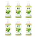 Green Tea Hand Wash Set - Moisturizing Sea Algae, Coconut & Olive Oil - Vegan, Non-GMO - 8 oz Bottles, Pack of 6
