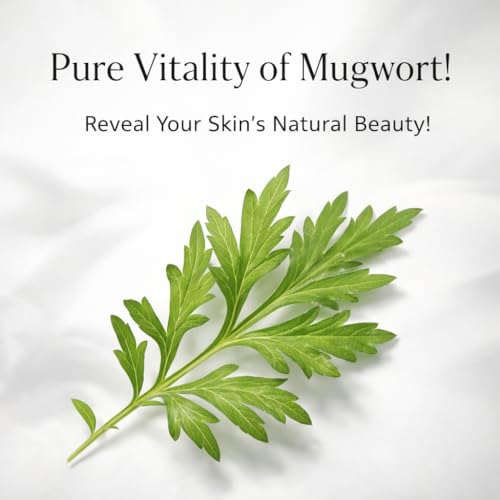 Mugwort Face Cream - Deep Hydration & Soothing Moisturizer for Sensitive Skin 1.69oz