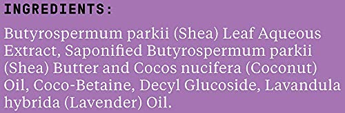 Lavender Shea Shampoo 2-Pack - Sulfate-Free Moisturizing Hair Care 64 Fl Oz