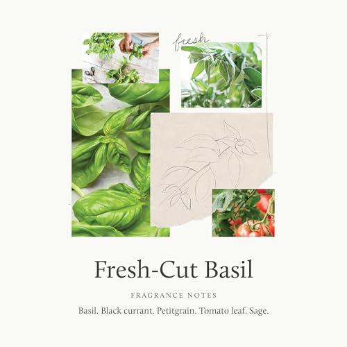 Fresh-Cut Basil Hand Wash - 15 Fl Oz | Invigorating Natural Fragrance