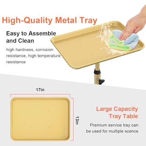 Salon Tray Cart Tattoo Tray Rolling Cart, Service Rolling Tray, Height Adjustable Styling Tray, Storage Tray Trolley for Beauty Salon Clinic Spa (Champagne Gold)