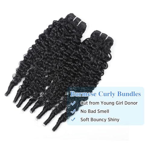 Unprocessed Burmese Curly Hair Bundles - 12 Inch Variation of THIS Listing