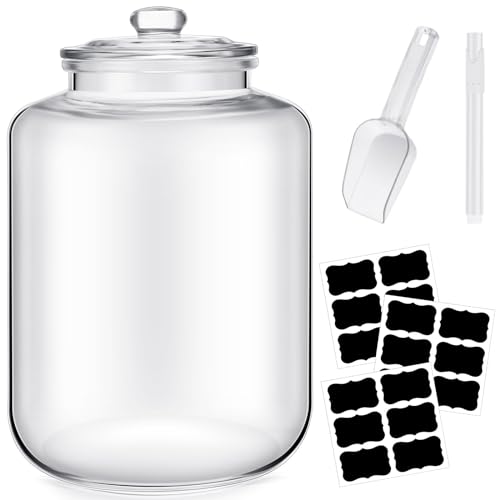 6 Gallon Glass Food Storage Jar with Airtight Lid for Kitchen Pantry