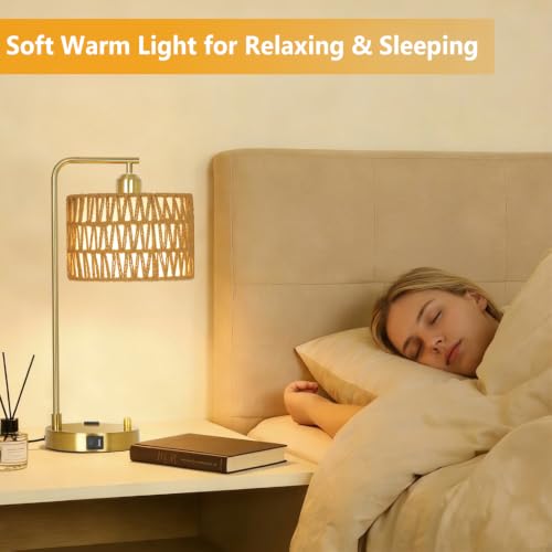 Gold Boho Lamps Set of 2 with USB Charging Ports & AC Outlet - Dimmable Table Lamps