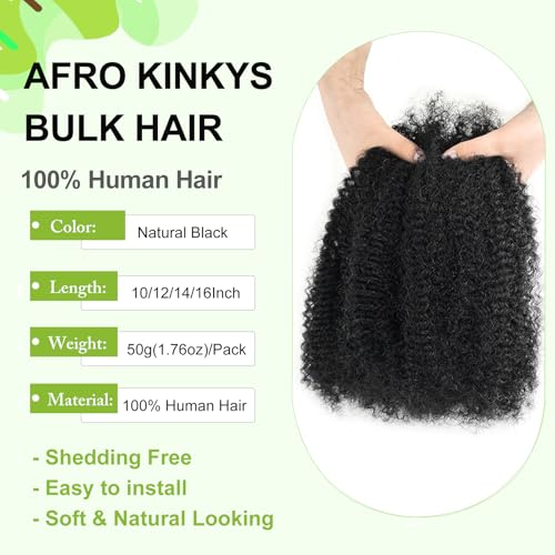 1B / 10 Inch Afro Kinky Twist Human Hair Bulk for Dreadlocks - Soft, Natural Black