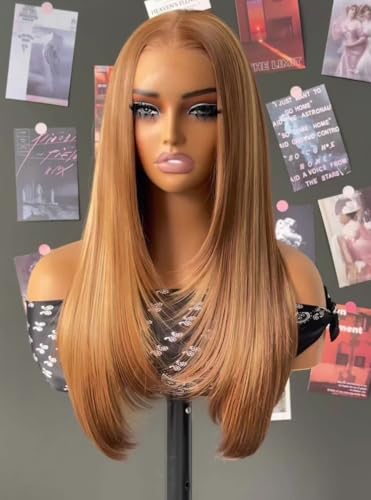 24 Inch Mixed Brown Synthetic Lace Front Wig for Black Women - Pre Plucked & Natural Look, 13x6 HD Lace, Long Straight Style Variation
