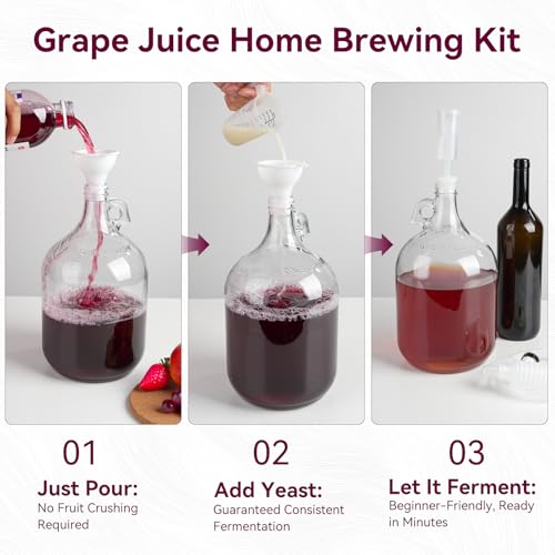 Home Brewing Wine Making Kit - Complete Grape Juice Fermentation Set for Beginners, 1-Gallon Jar & Bottles