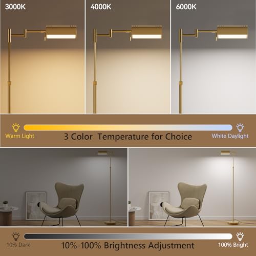 Gold Dimmable LED Pharmacy Floor Lamp with Remote & Adjustable Height