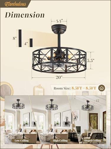 20-Inch Caged Ceiling Fan with Lights and Remote - Black Fanbulous