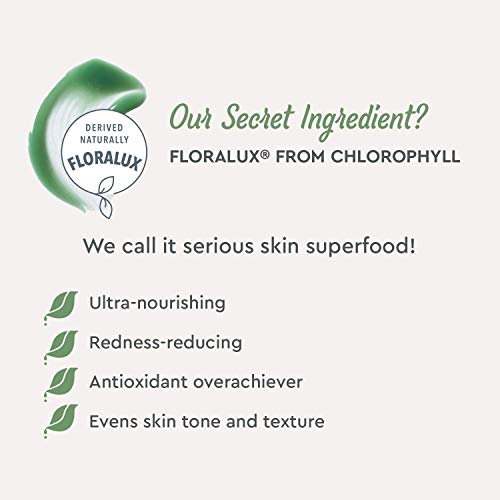 BioClarity 3-Step Essentials Skin Care Routine for Normal & Oily Skin - Full Size - Vegan & Clean
