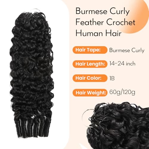 Burmese Curly Crochet Hair Extensions 18 Inch 60g Pre-Separated Natural Black