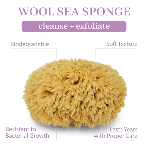 Sea Wool Sponge 5.5 Inch Natural Sea Sponge for Bathing & Exfoliation - Durable & Eco-Friendly Loofah