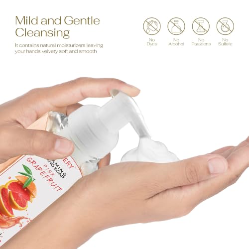 Foaming Hand Soap Pump Set - 5-Pack Citrus Fragrance with Aloe Vera & Essential Oils - 8.7 Fl Oz Each - Lemon, Orange, Lime, Grapefruit Variations