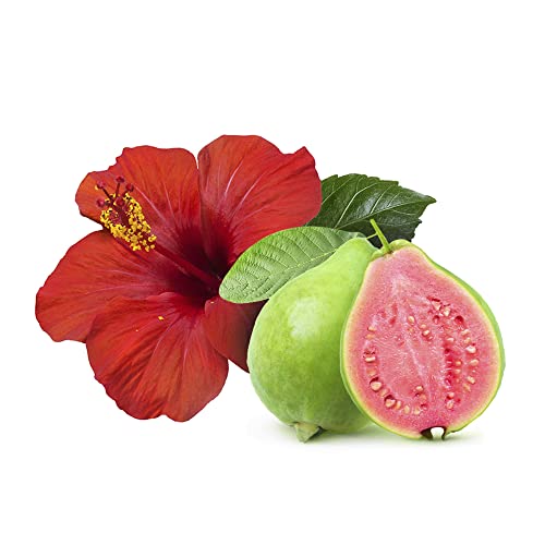 Hawaiian Hibiscus Natural Shampoo Bar - SLS-Free, Eco-Friendly, Travel Size, All Hair Types
