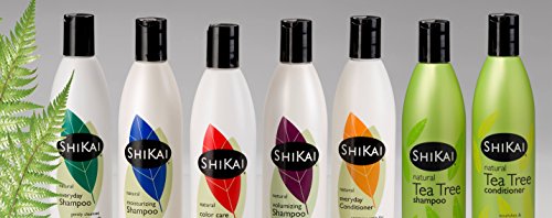 Natural Everyday Shampoo with Borage Oil - Plant-Based, Non-Soap, Gentle Cleansing (12 Oz Pack of 3)