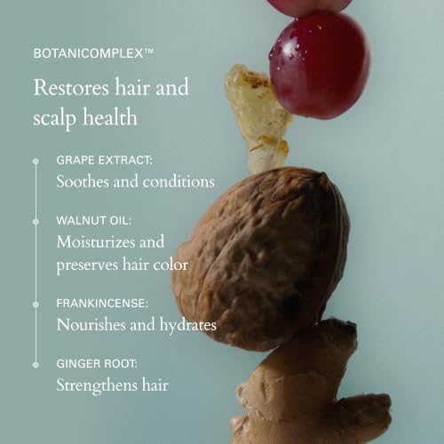 RŌZ Hydrating Sulfate-Free Shampoo for All Hair Types - 10.1 oz Bottle