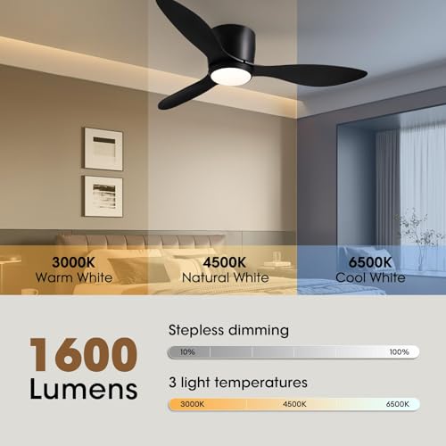 LUDOMIDE 42 Inch Black Ceiling Fan with Lights, Remote & Wall Control, Dimmable, Reversible Motor, Indoor Flush Mount