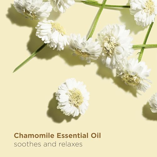Relax Body Treatment Oil - Moisturizing Aromatherapy Massage Oil 3.4 Fl Oz