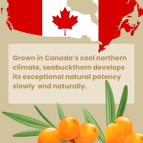 Best Nature's Cosmetics Sea Buckthorn Berry Oil ? 100% Pure, Cold-Pressed & Unrefined ? For Skin, Hair & Cosmetic Use ? Made in Canada ? 1 fl oz / 30 ml