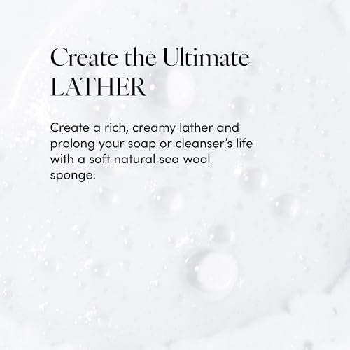 LATHER Natural Sea Wool Sponge (5-6 in) Large Exfoliating Body Scrubber