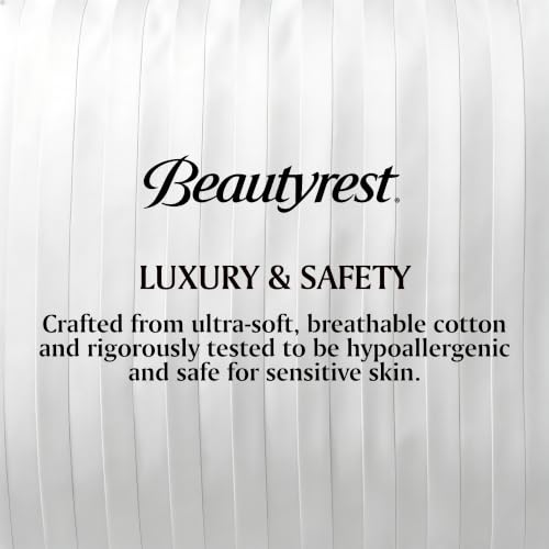 White Queen Size Feather and Down Pillow Set of 2 - Luxury Hotel Comfort