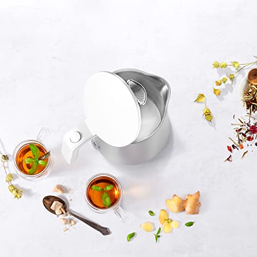 ZWILLING Enfinigy 1L Electric Cordless Kettle with Temperature Control