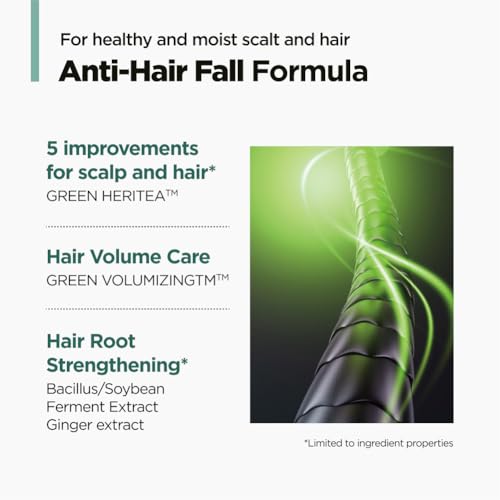 AMOS PROFESSIONAL Green Tea Shampoo for Thinning Hair 16.9 fl oz - All Hair Types, Deep Cleansing & Volumizing