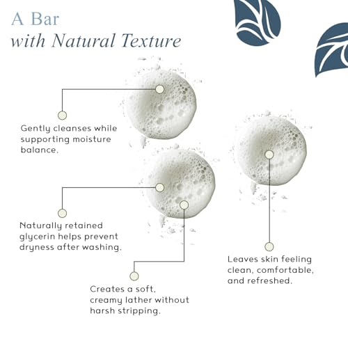 Switch2Pure Detox Bar Soap with Shea Butter, Avocado Oil & Mineral Clays, Herbal Mint Infused Organic Soap Bar for Deep Cleaning & Refreshed Skin Full Size 4 Oz