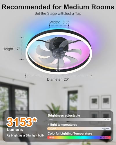 Black 20 Inch RGB Ceiling Fan with Light - Voice Control & Music Sync