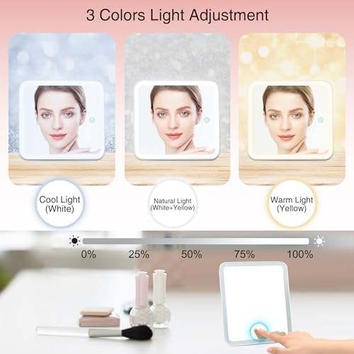 Relavel Pink Travel Makeup Bag with LED Mirror, Waterproof Organizer & Removable Dividers - Small