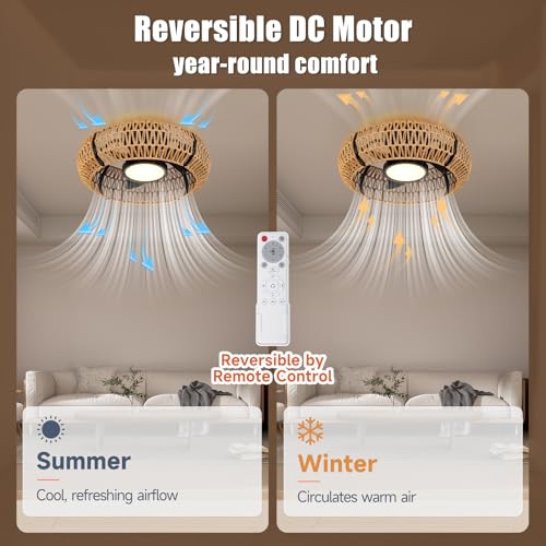 20-Inch Black Caged Ceiling Fan with Light and Remote Control - Boho Rattan