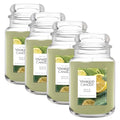 Yankee Candle Sage & Citrus Large Jar Candle Pack of 4 - Up to 150 Hours Burn Time, Giftable Home Fragrance