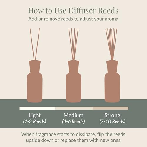 Bergamot Tobacco Reed Diffuser 7.85 fl oz - Aromatic Home Fragrance