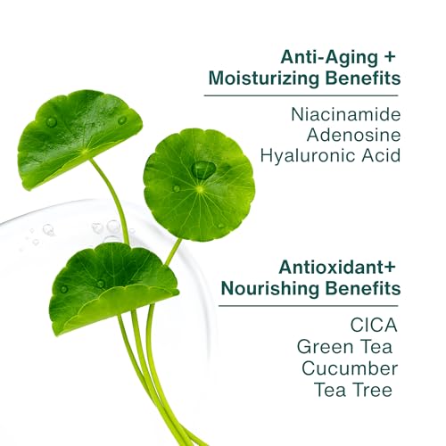 Hydrogel Cheek Patch for Hydrating & Cooling Skin - 60 Count