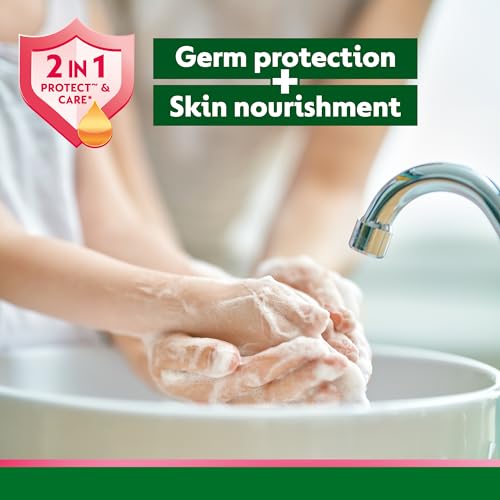 Dettol Skinkare 200ml+Free Liquid Handwash