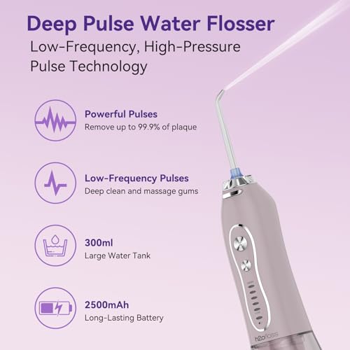 Pink Lavender H2ofloss 2-in-1 Electric Toothbrush & Water Flosser Set