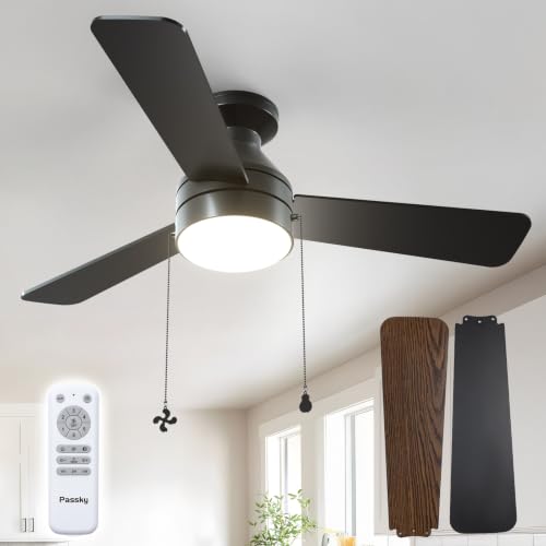 Passky 42 Inch Black Low Profile Ceiling Fan with Light & Remote - Flush Mount