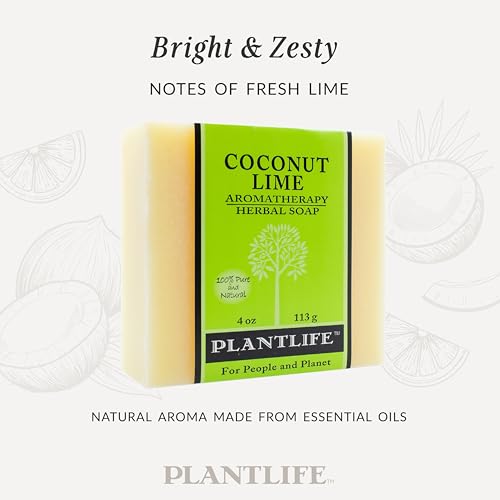Plantlife Coconut Lime Natural Bar Soap 6-Pack - Handcrafted Vegan 4 oz Variation of Coconut Lime / 4 Ounce (Pack of 6)