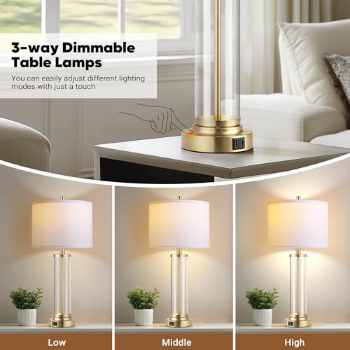 Glass Table Lamps Set of 2 - Modern Gold Dimmable Bedside Lamps with USB Charging - Variation of Gold