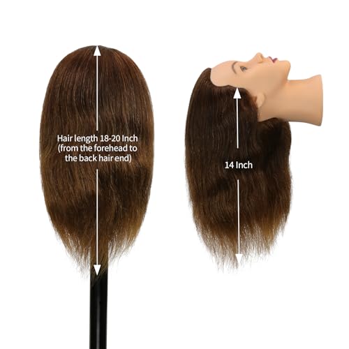 Mannequin Head Human Hair 14 Inch Dark Brown - Practice & Styling Head with Stand & Clips - Variation 4