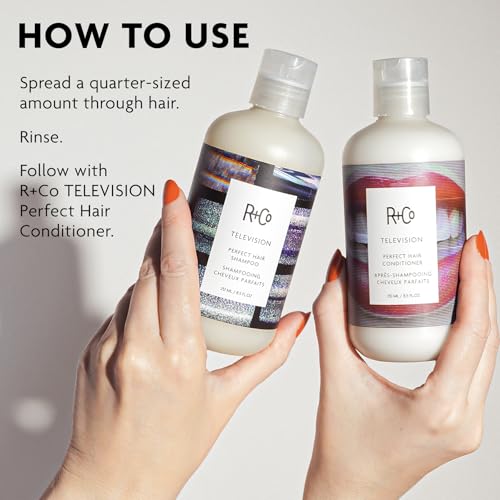 R+Co Television Perfect Hair Shampoo 8.5 Fl Oz - Dark Waves Scent, Hydrating & Vegan